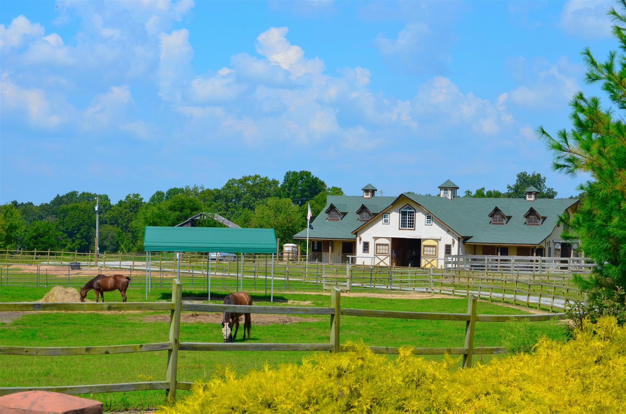 Craigslist farm and garden horses. 